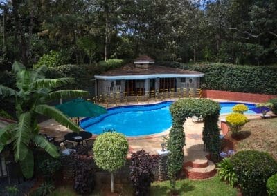 The pool and pool lounge