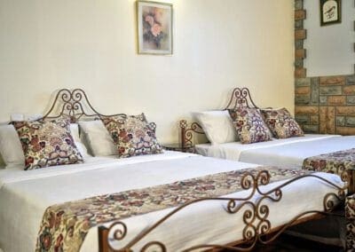 Amboseli Suite