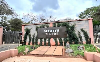 Why Karen Is Nairobi’s Most Sought-After Location for Travelers